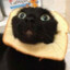 Bread cat