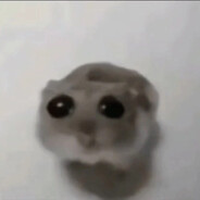 Виталик Гиря