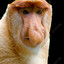 MESSI-PEEK........