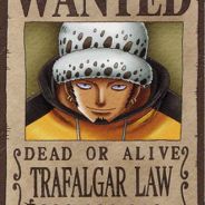 当这地球没有花