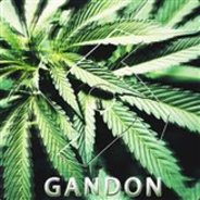 Gandon