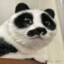 志