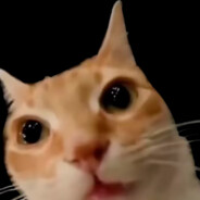 等我拉上大电你不炸了