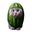 MEL0N CAT