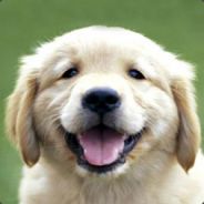 Zerg Rush - steam id 76561197960625998