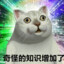 奇怪的知识
