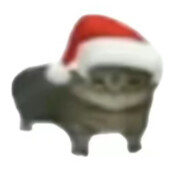 别把鸭梨🍐给我