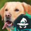 revial1316 gamehag.com