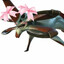 NEKITOCHKO