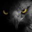 Tarook