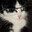 FroSTiusz's Avatar