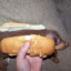 Bread Wiener