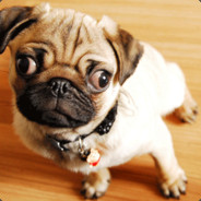 你就让我挠一挠嘛