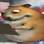 Dronixe