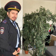 НЕБРИТ ПОДДАТ