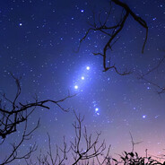 Orion - steam id 76561199154719295