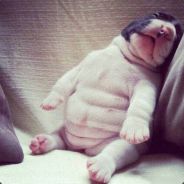 为何你们如此优秀