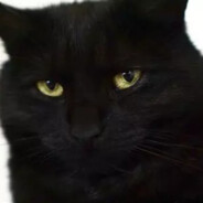 Maugl1 - steam id 76561198443303702