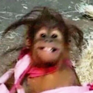 我叫超人强越超人越强