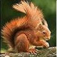 Noisette - steam id 76561197971728367