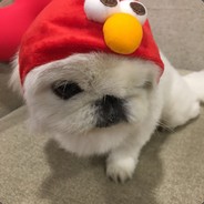 豆奶