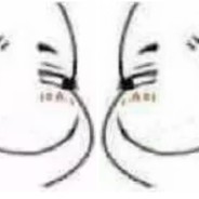 你是我压不住的躁动