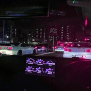 流浪的狮子不会说谎