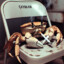 Chaircrab
