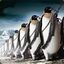 penguinpower349