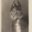 Brünnhilde