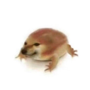 会打游戏的狗呱