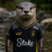 sjoco