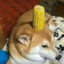 corndog