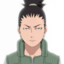 Shikamaru Nara