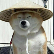 bot ponczek.skins.army