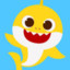 Baby shark, doo, doo, doo, doo