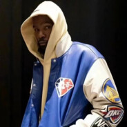 一只怜悯的狐狸跳过一