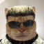 Albert Whiskers