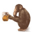 DrunkMonkey