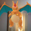 Charizard ~★~ 06