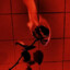 BloodyAlice