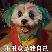 小丑竟是我自己