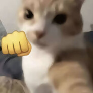 翻斗花园弱化胡图图