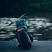 PRICEPUTUL CIUPANEZIUS REX