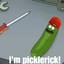 PickleRick[NL]