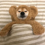 AKA大湾区马拉糕糕