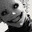 Heeres