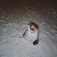 SK? - steam id 76561199665121730