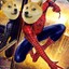 Spider_Doge