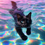psychedelic cat